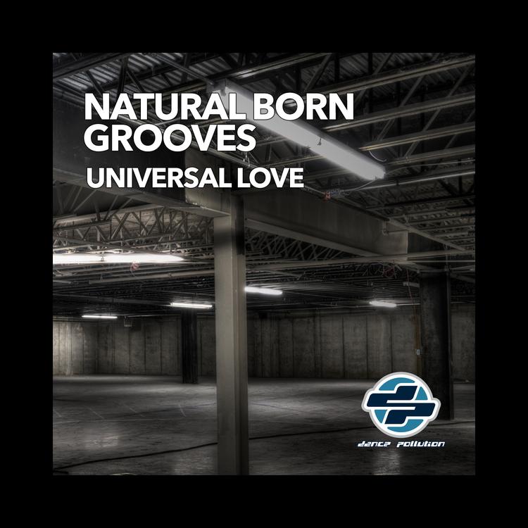 Natural Born Grooves's avatar image