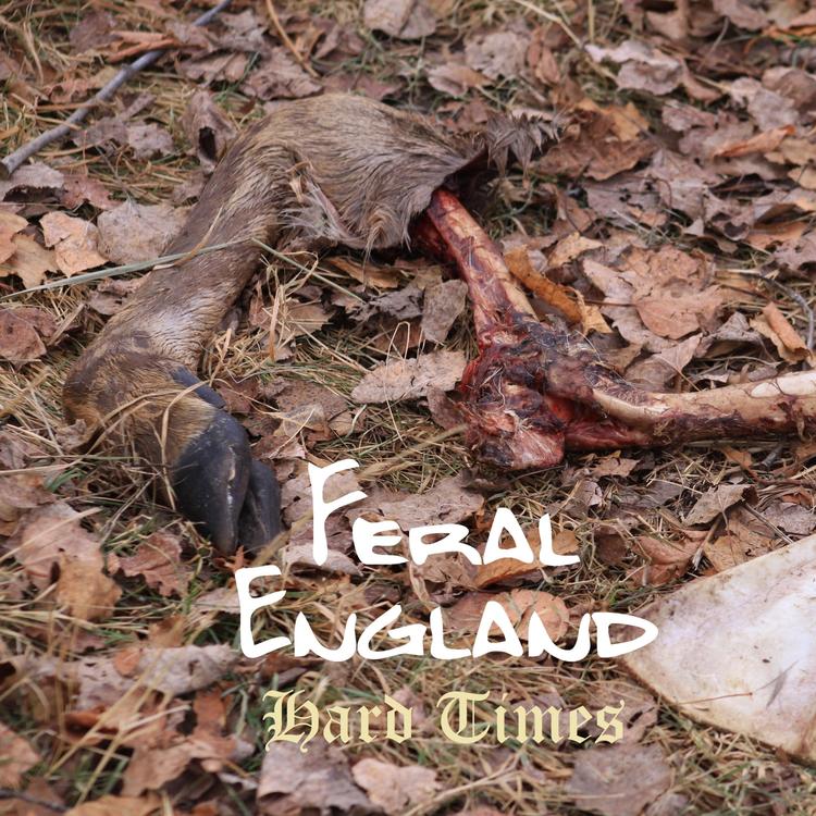 Feral England's avatar image