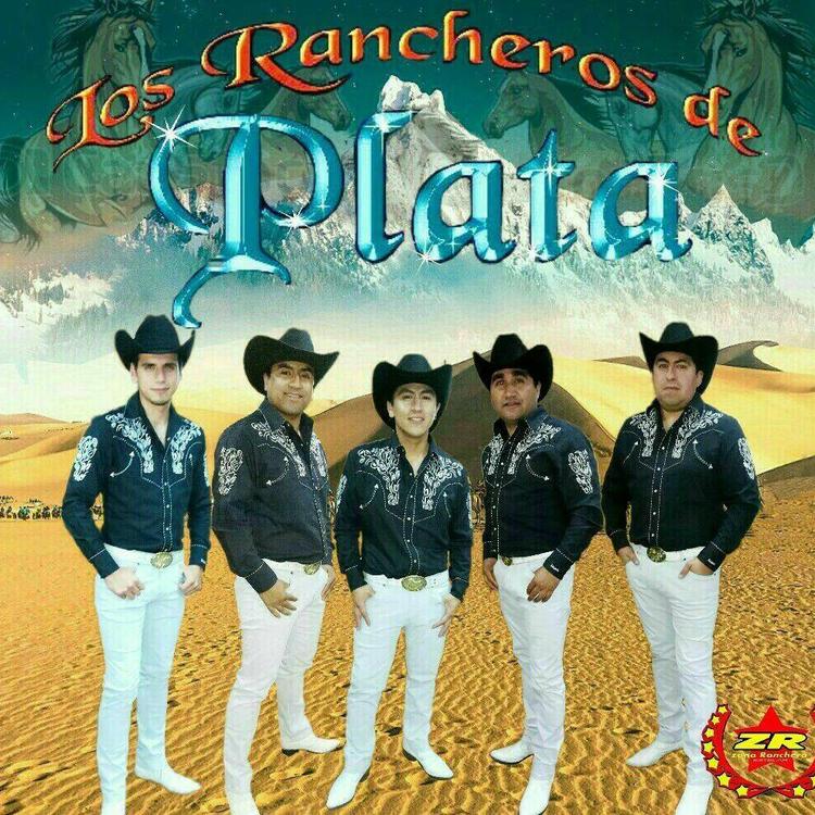 Los Rancheros de Plata's avatar image