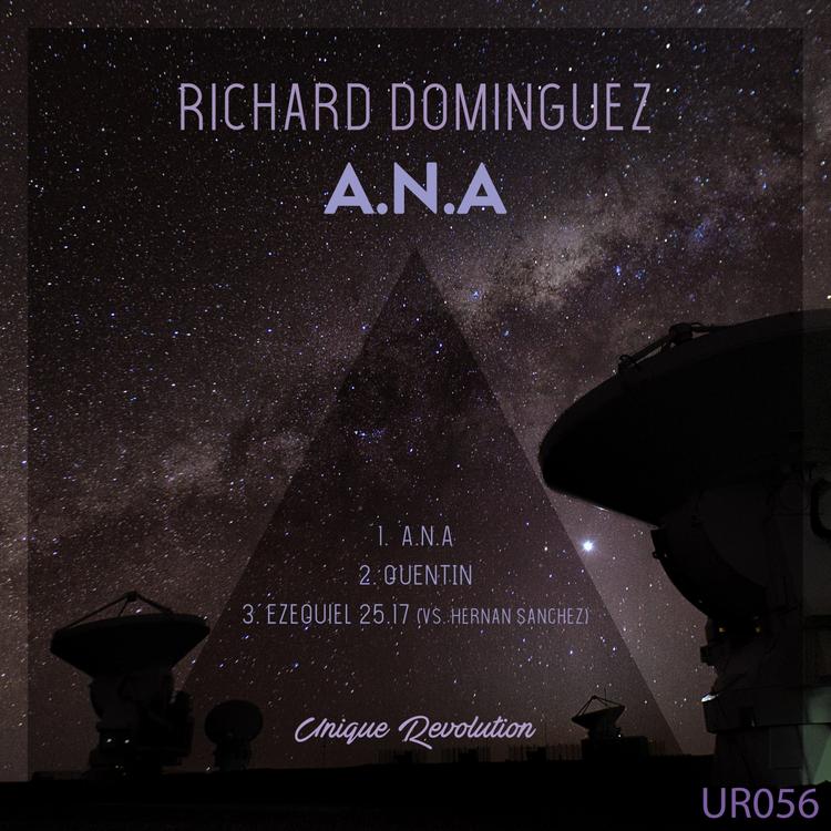 Richard Dominguez's avatar image