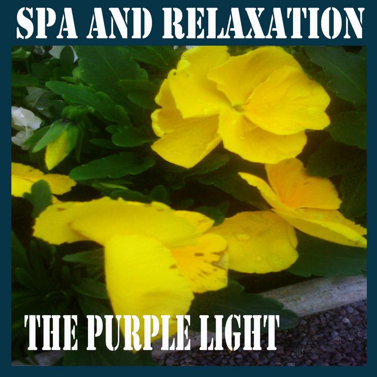 The Purple Light's avatar image