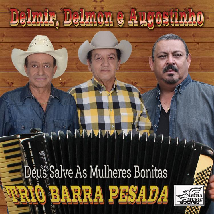 Trio Barra Pesada's avatar image