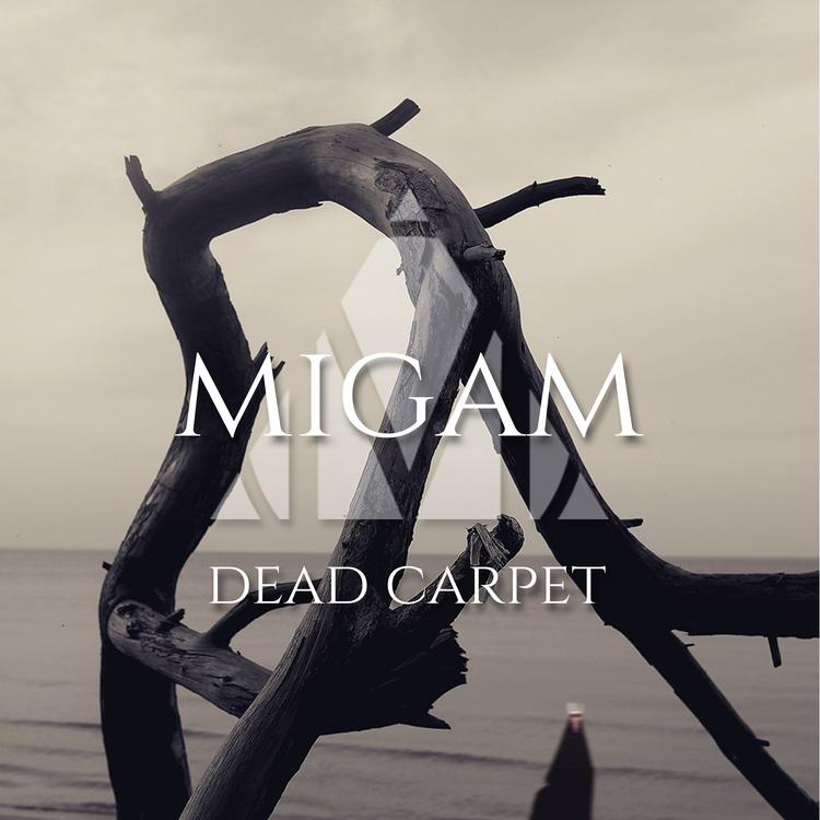 migam's avatar image