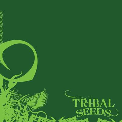 Dark Angel By Tribal Seeds's cover