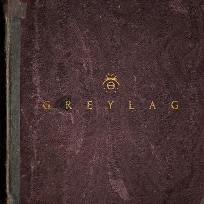 Black Sky By Greylag's cover