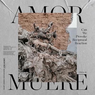 Can We Provoke Reciprocal Reaction By Amor Muere's cover