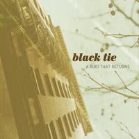 Black Tie's avatar cover