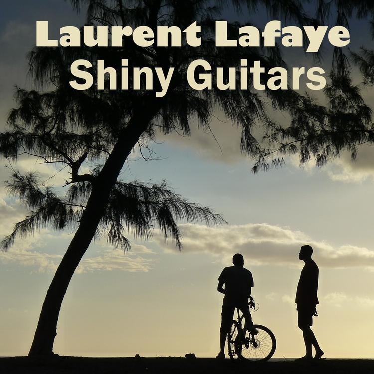 Laurent Lafaye's avatar image