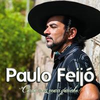 Paulo Feijó's avatar cover