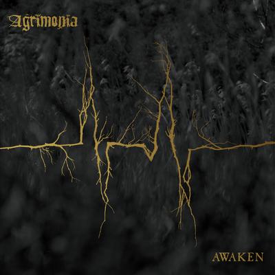 A World Unseen By Agrimonia's cover