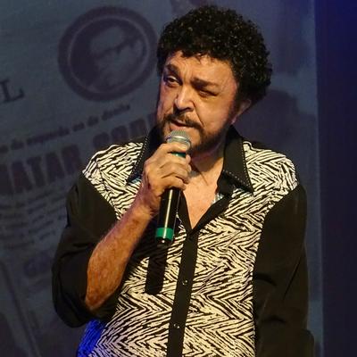 Como É Que Vai Ficar (Ao Vivo) By Luiz Ayrão's cover