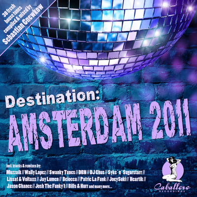 Destination: Amsterdam 2011's cover