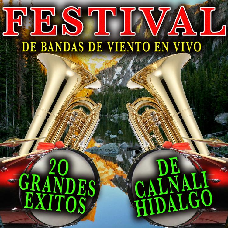 Festival De Bandas Calnali's avatar image