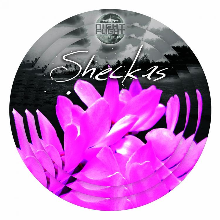 Sheckas's avatar image