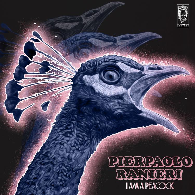 Pierpaolo Ranieri's avatar image