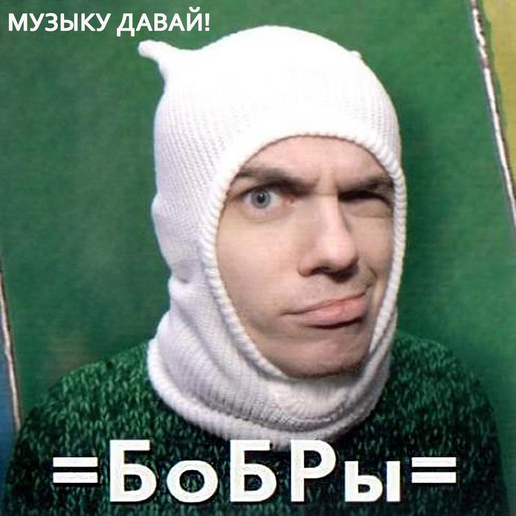 Бобры's avatar image