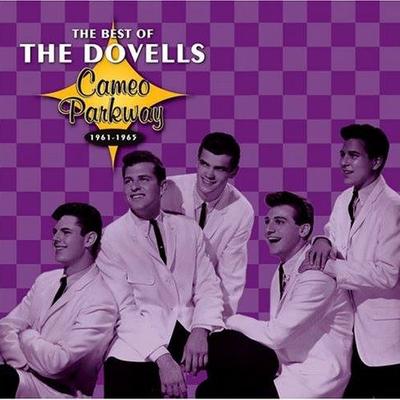 The Dovells's cover