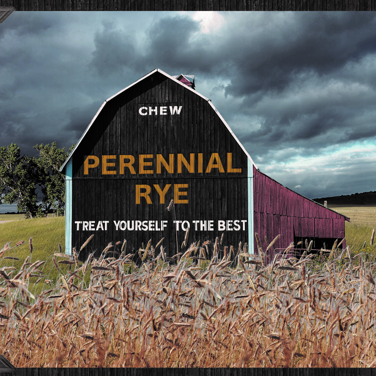 Perennial Rye's avatar image