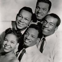 The Platters's avatar cover