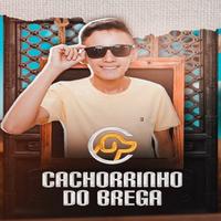 Cachorrinho Do Brega's avatar cover