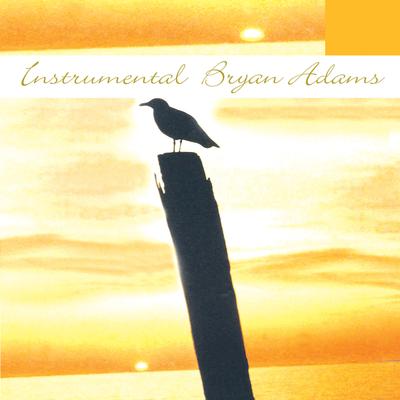 Instrumental Tribute To Bryan Adams's cover