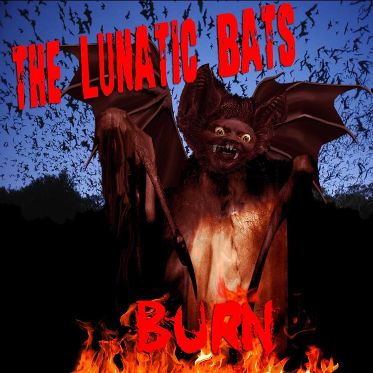 The Lunatic Bats's avatar image