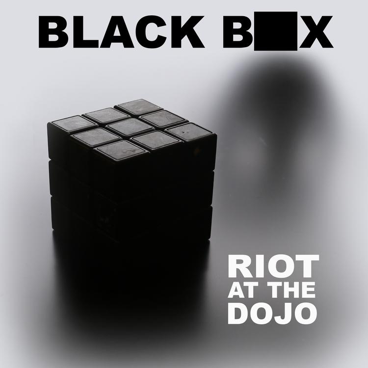 Riot at the Dojo's avatar image