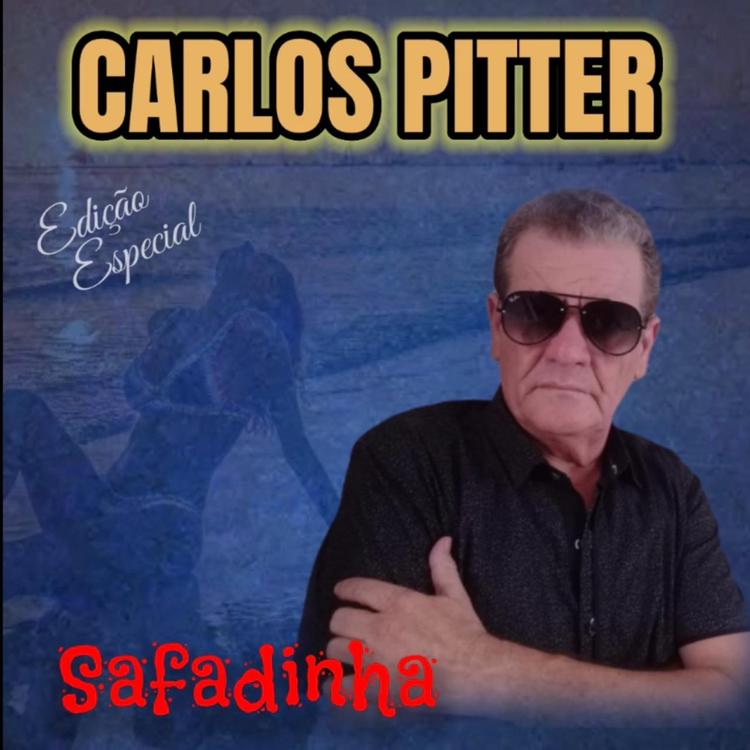 Carlos Pitter's avatar image