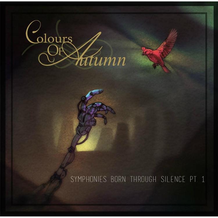 Colours of Autumn's avatar image