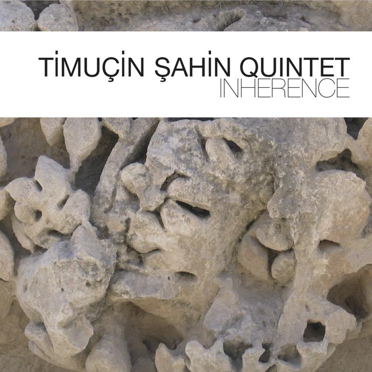 Timucin Sahin Quintet's avatar image