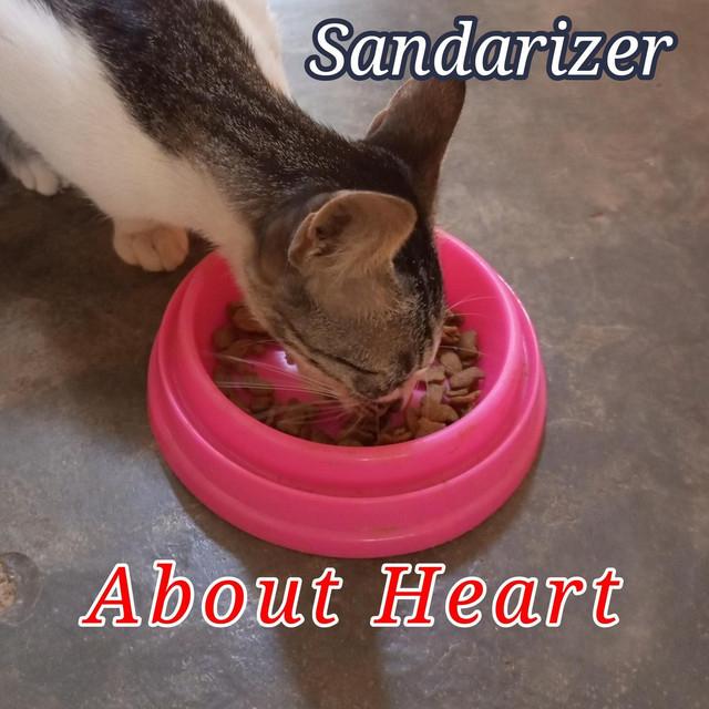 Sandarizer's avatar image