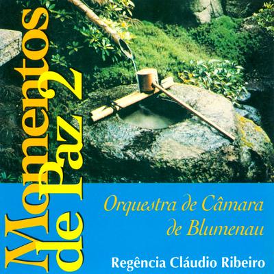 Adagio in G Minor (Arr. for String Orchestra) By Orquestra De Câmara De Blumenau, Cláudio Ribeiro's cover