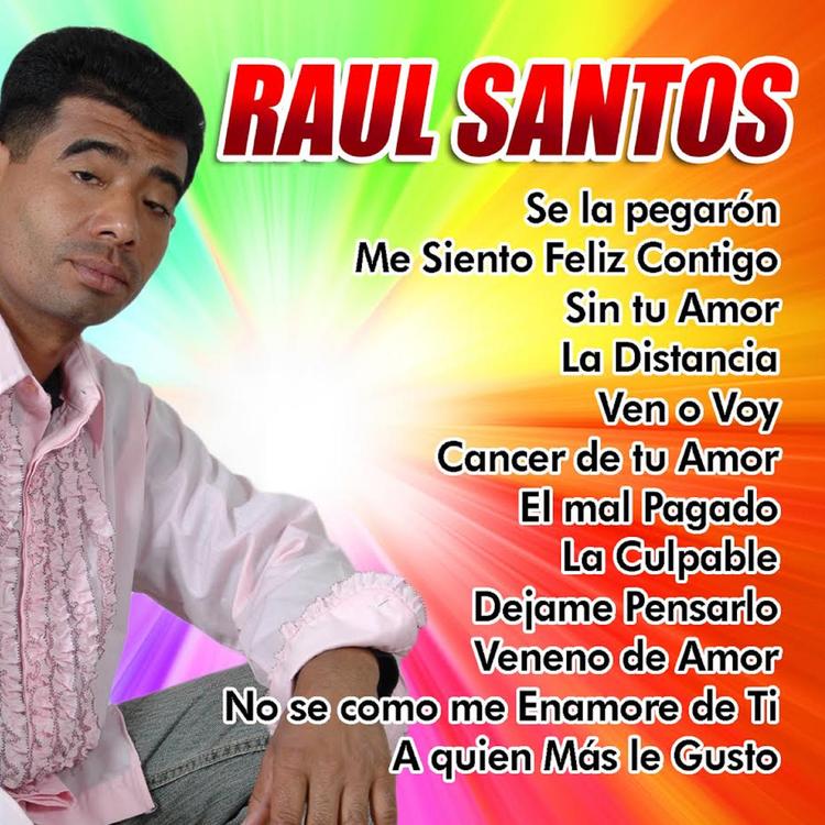 Raúl Santos's avatar image