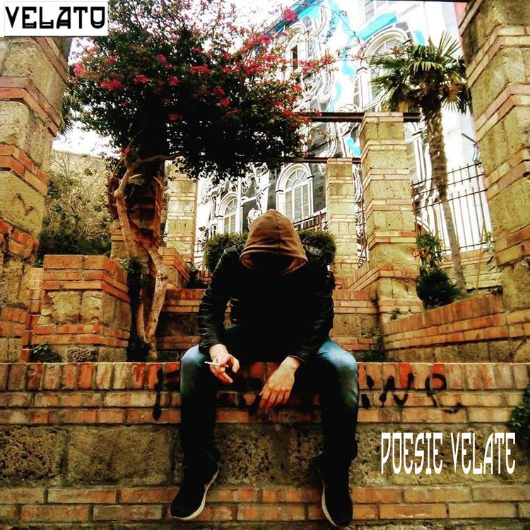 VELATO's avatar image