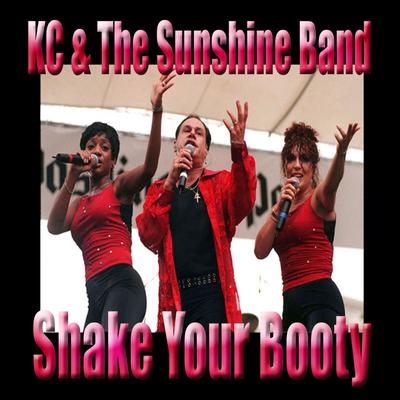 Please Don't Go By KC & The Sunshine Band's cover