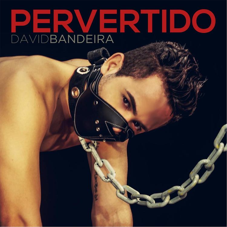 David Bandeira's avatar image