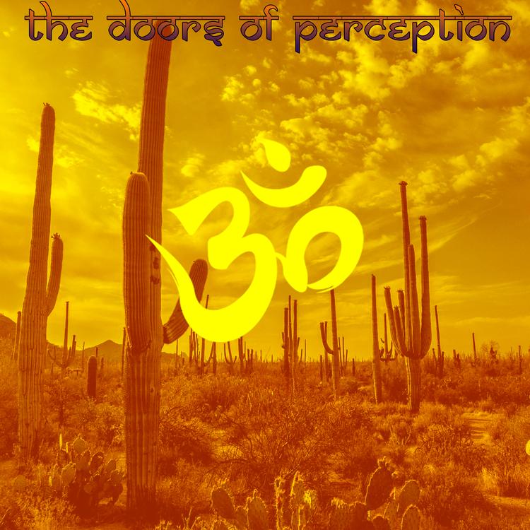 The Doors of Perception's avatar image