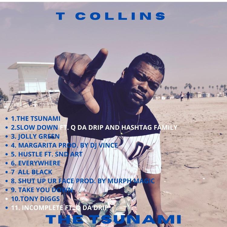 T Collins Aka Function's avatar image