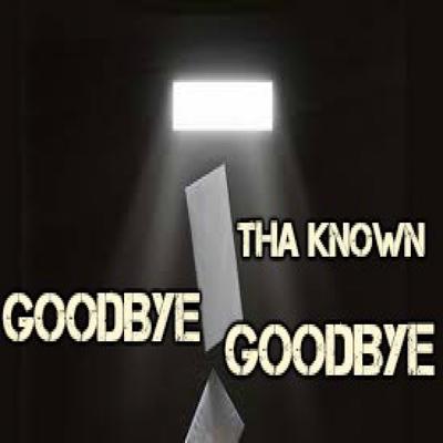 Goodbye Goodbye's cover