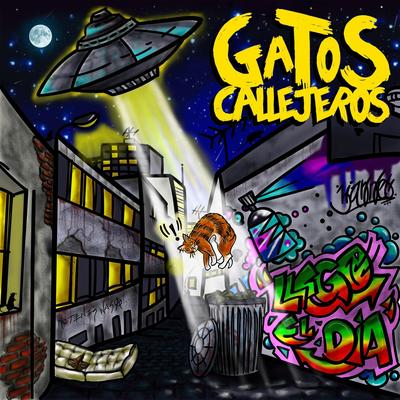 Perdiendo la Razón By Gatos Callejeros's cover