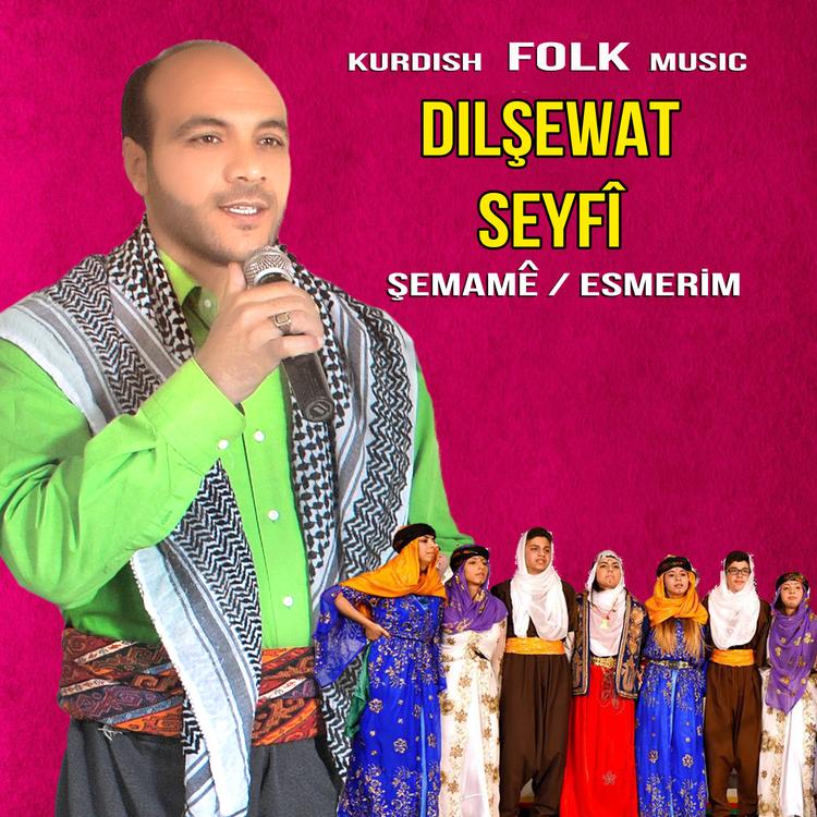 Dilşewat Seyfî's avatar image