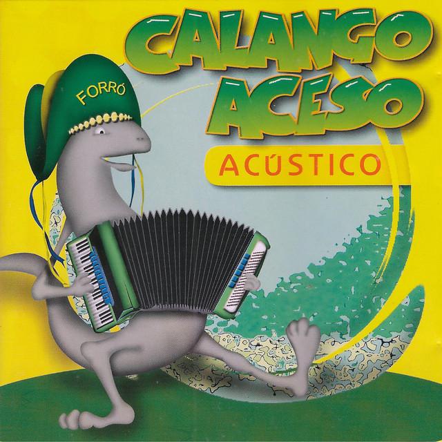 Calango Aceso's avatar image