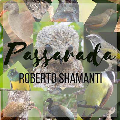 Passarada By Roberto Shamanti, Bia de Santa Maria, Carlos Alexandre, Armistrong Neto, Passarim da Amazônia's cover