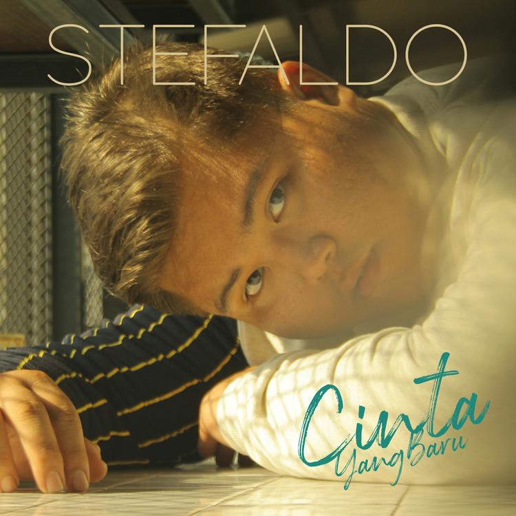 Stefaldo's avatar image