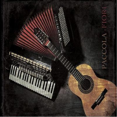 Pagode Doido By Thiago Paccola, Jonecir Fiori's cover