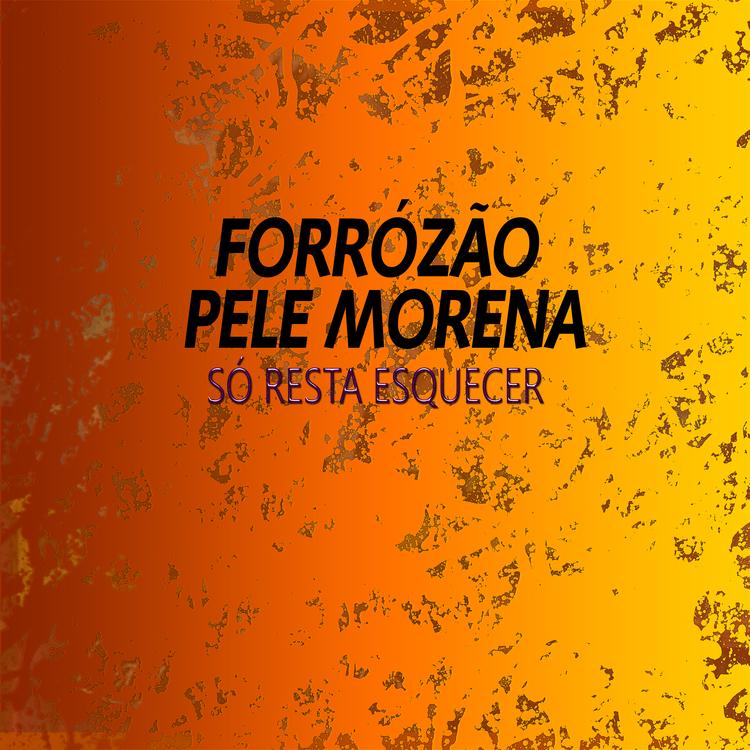 Forrózão Pele Morena's avatar image