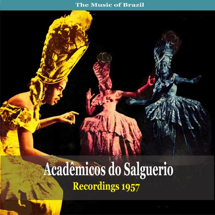 Acadêmicos do Salguerio's avatar image