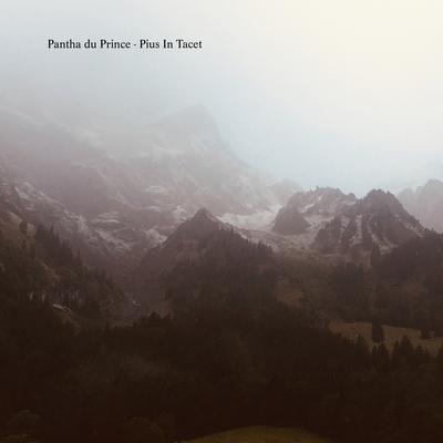 Pius in Tacet By Pantha du Prince's cover