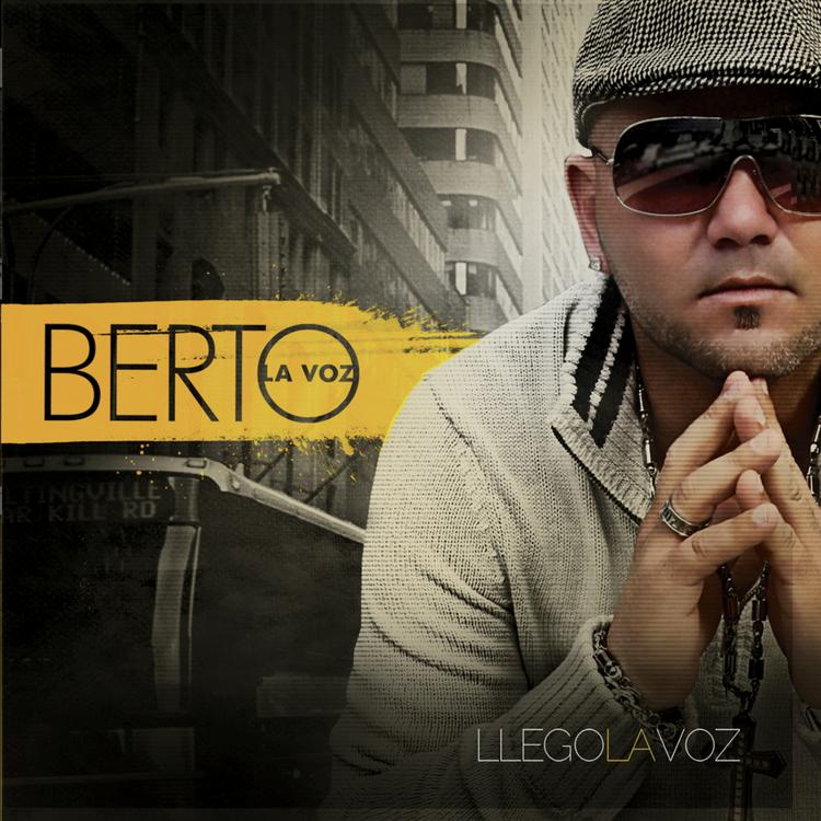 Berto La Voz's avatar image