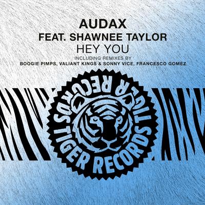 Hey You (Original Radio Edit) By Audax, Shawnee Taylor's cover